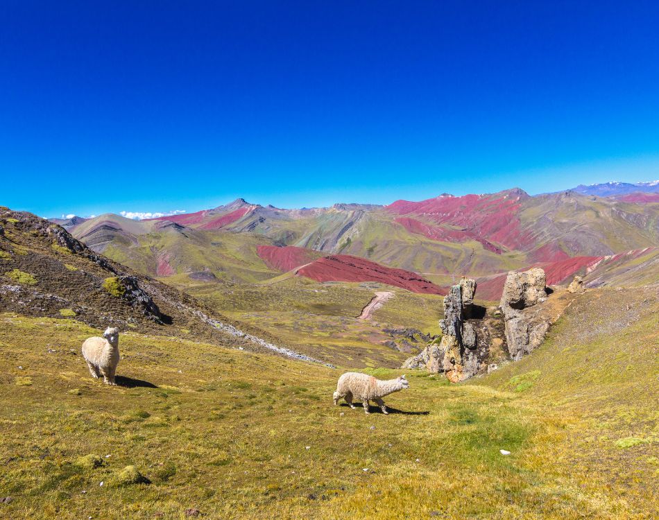 MOUNTAIN OF COLORS TREKKING SHARED GROUP