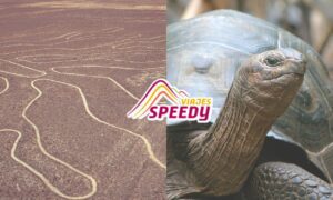 Beyond Machu Picchu: Exploring Peru's 'Little Galapagos' and Nazca Lines