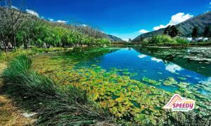 Descubre la Joya Oculta: El Fabuloso Humedal de Huasao - Un Santuario Natural