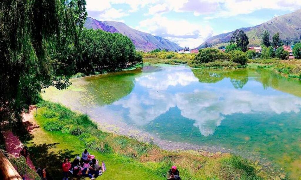 Descubre la Joya Oculta: El Fabuloso Humedal de Huasao - Un Santuario Natural