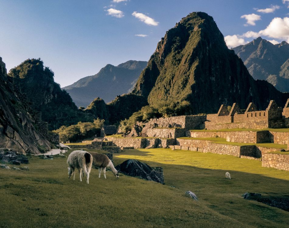 Machu Picchu 1 Día – Servicio Privad