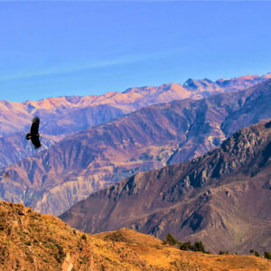 Colca Canyon Trekking 3 Days