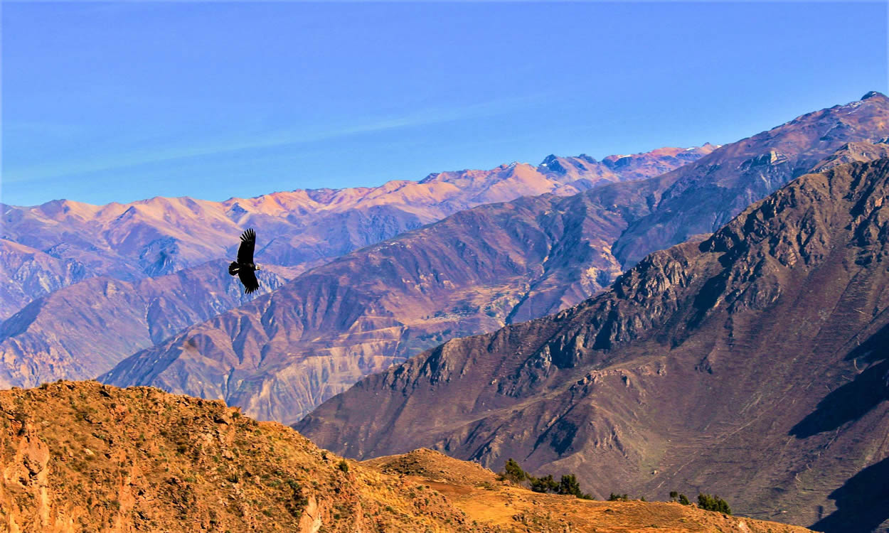 Colca Canyon Trekking 3 Days