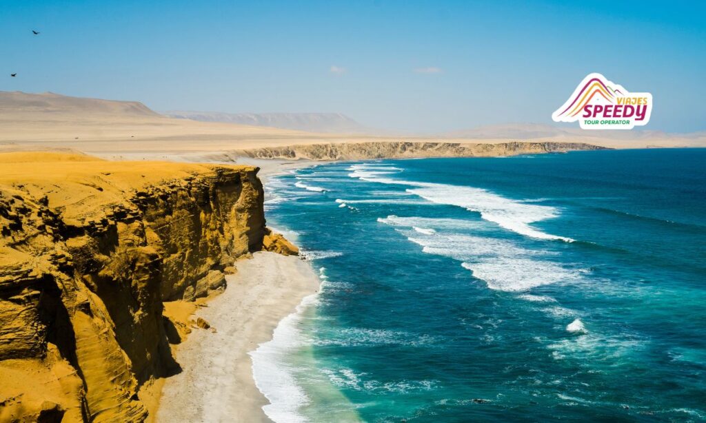 Paracas or Huacachina: Which One is Better?