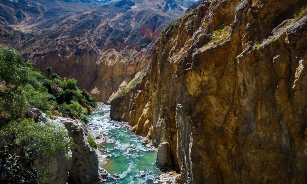 How to Visit Colca Canyon? Your Ultimate Travel Guide